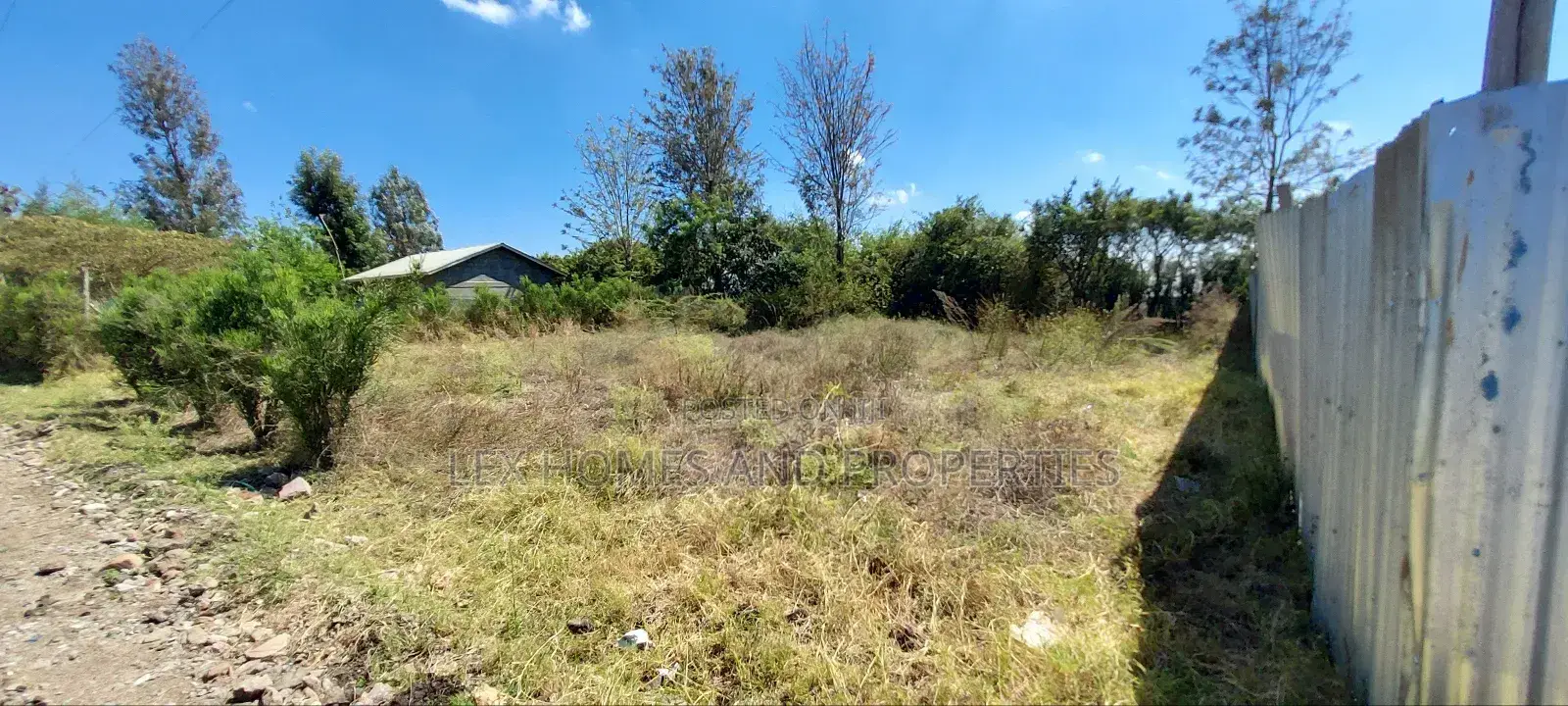 1/8 Acre for Sale
