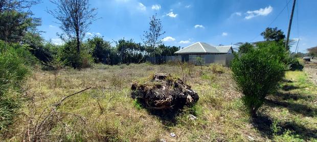 1/8 Acre for Sale - thumbnail 3