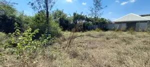 1/8 Acre for Sale