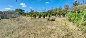 1/8 Acre for Sale