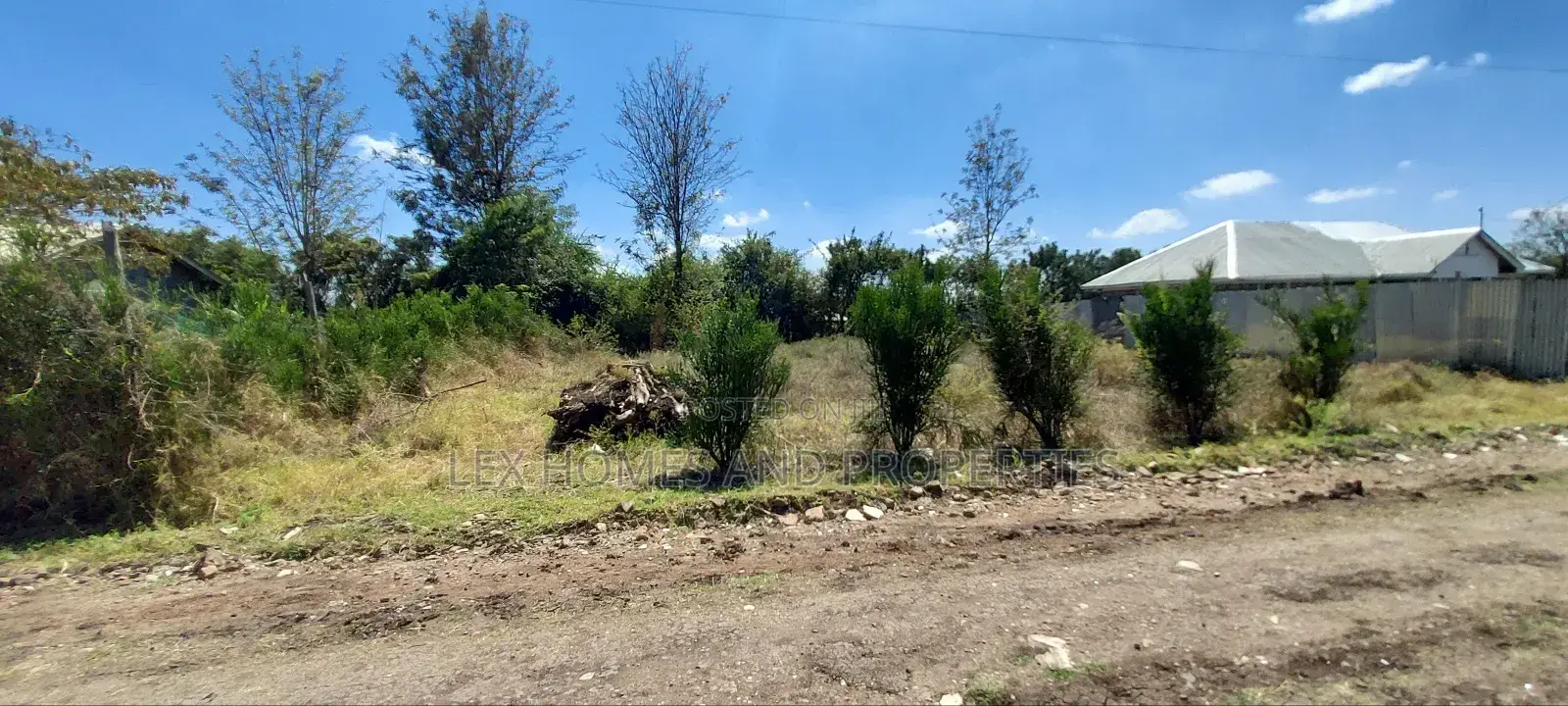1/8 Acre for Sale