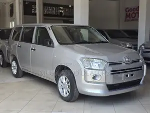 Toyota Probox 2018 Silver
