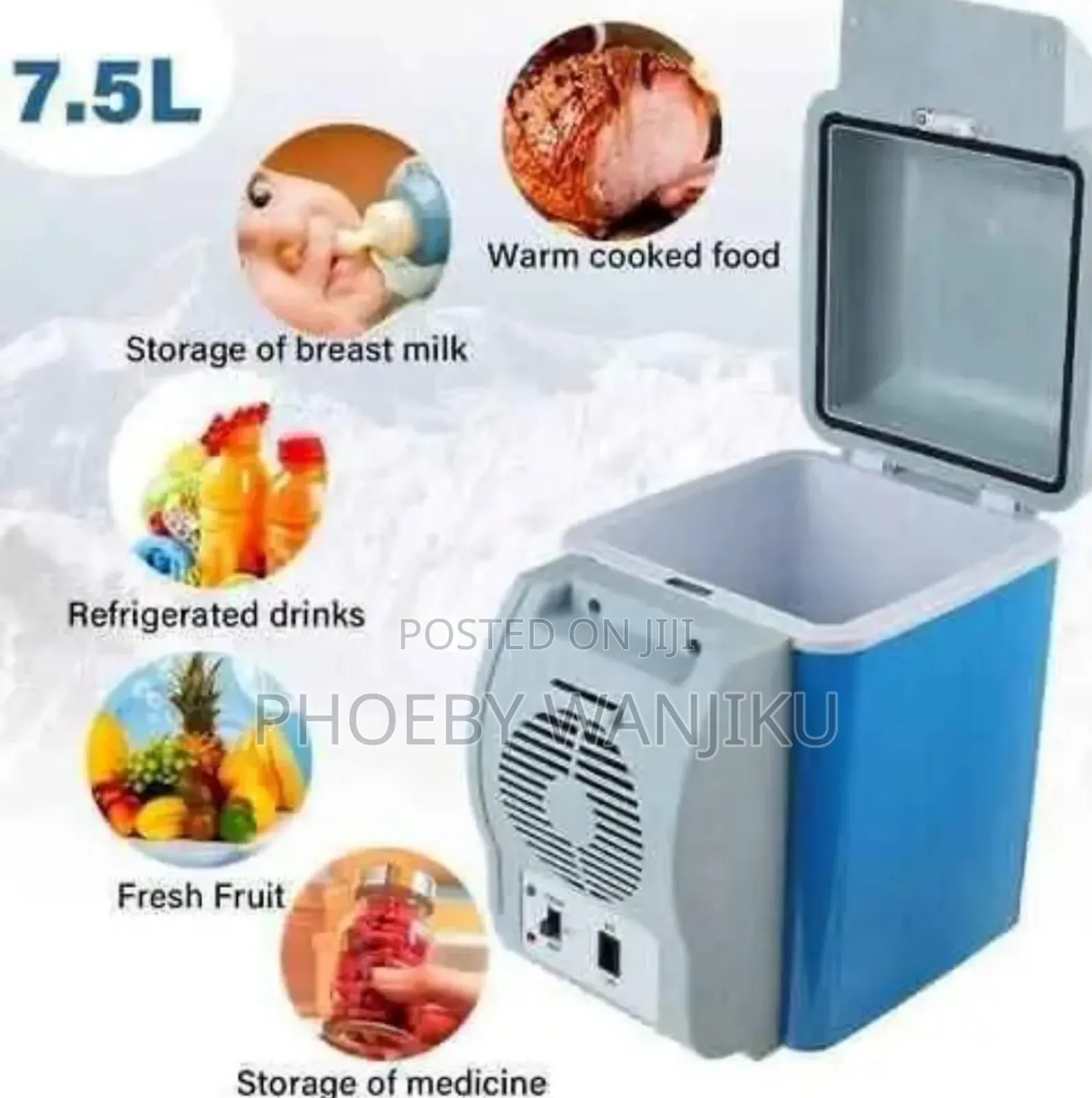 Car Refrigerator/Mini Car Fridge