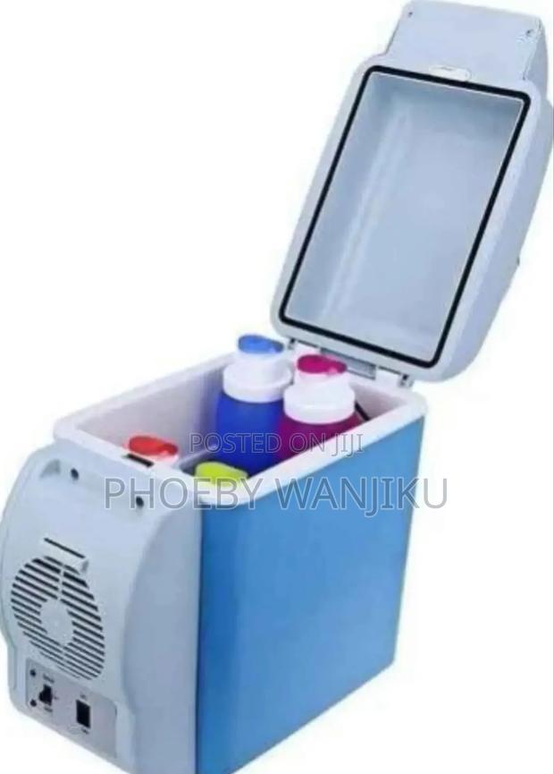 Car Refrigerator/Portable Car Fridge
