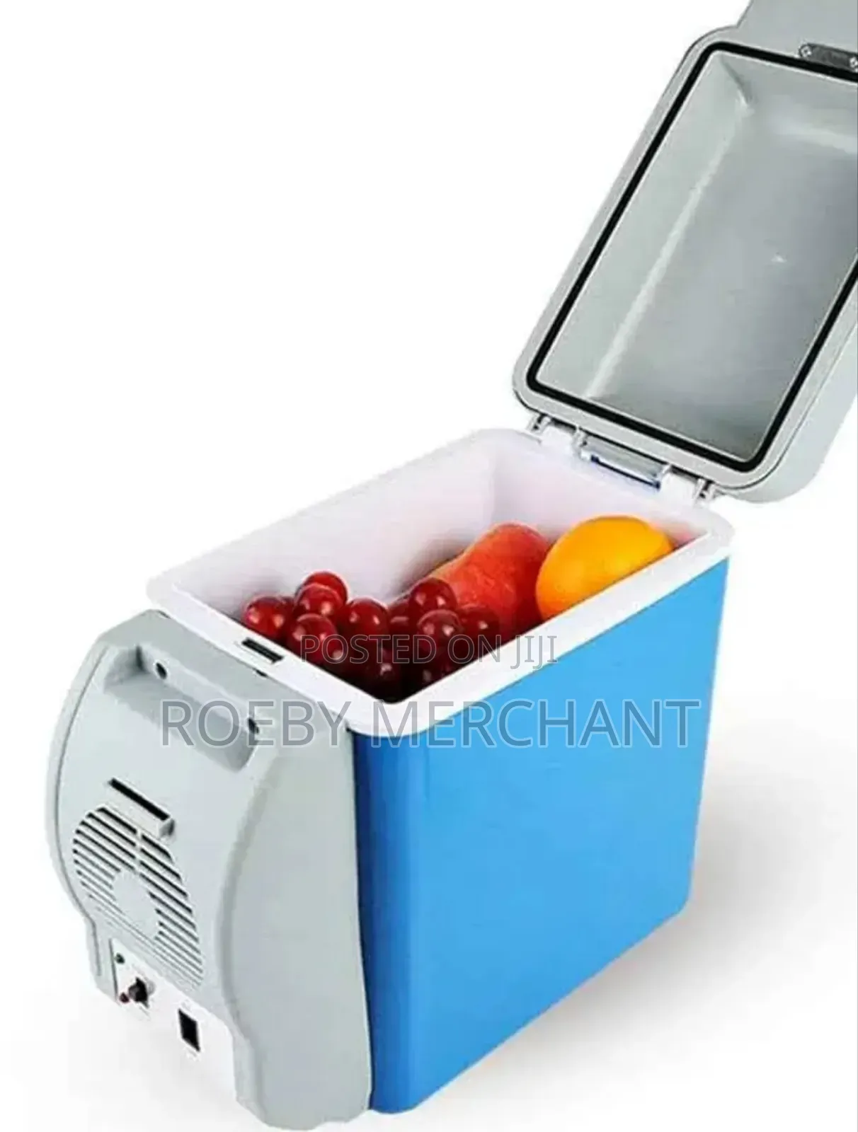 Best Refrigerator/Car Refrigerator