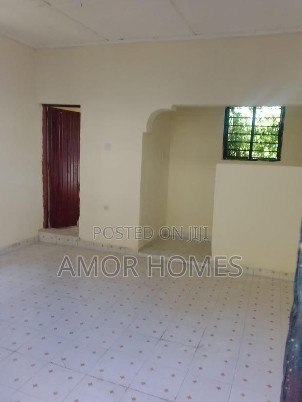 1bdrm Bedsitter in Palestina, Mtambo for rent - main view