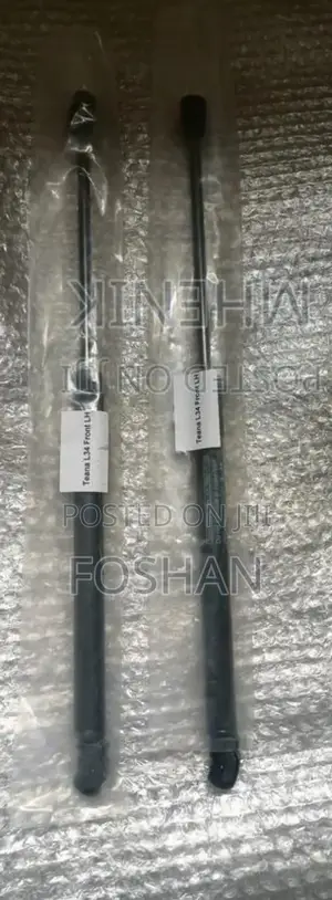 Teana New Bonnet Shocks