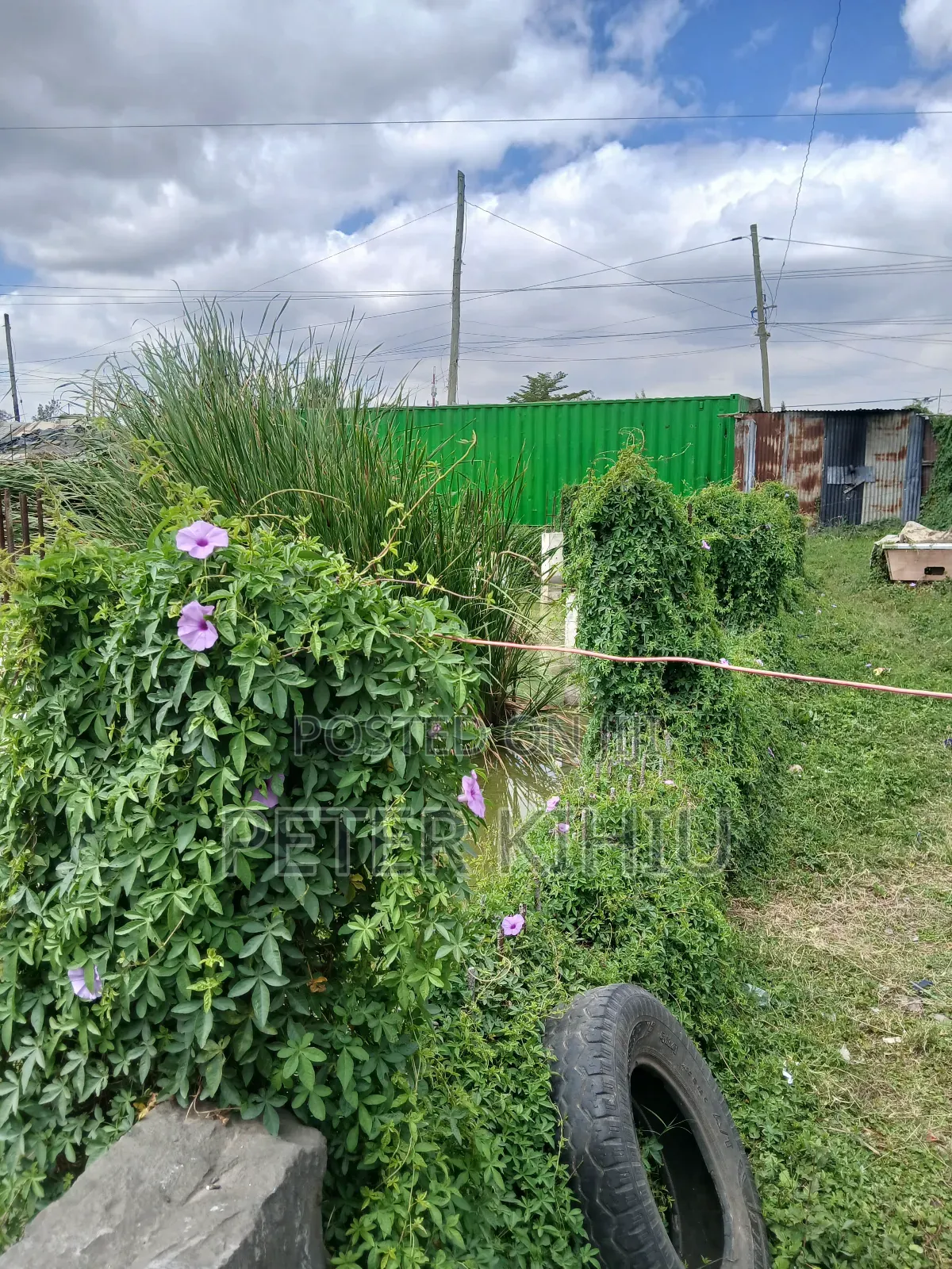 Imara Daima 1/8th Acre With Borehole for Sale