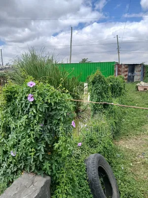 Imara Daima 1/8th Acre With Borehole for Sale
