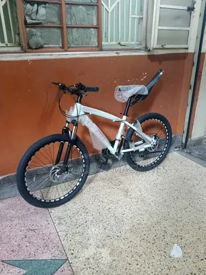Size 24 Adults Bicycle