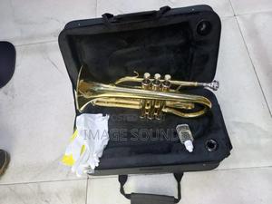 Cornet Instrument - thumbnail 2