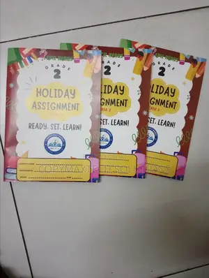 Grade 2 Homework Holiday Assignment