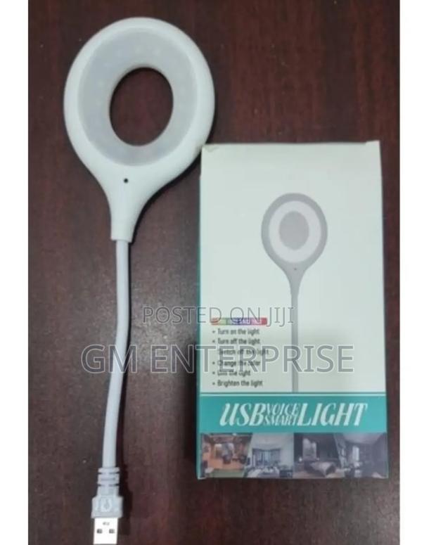 *Usb Connection Desk Lamp With Voice Command Control - main view