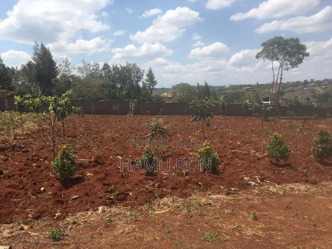 100x100 Residential Plot for Sale – Off Githunguri Road, Ruiru