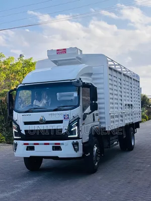 Howo H3 Brand New Zero Mileage Truck