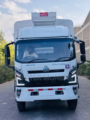 Howo H3 Brand New Zero Mileage Truck