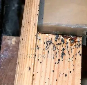 Bedbugs Elimination