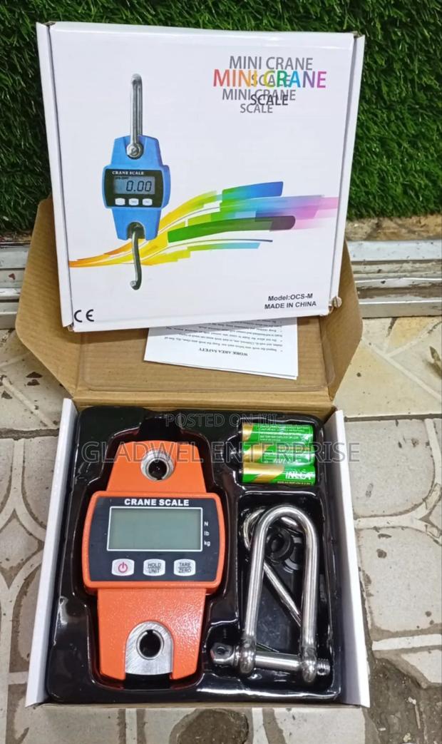 Affordable Hanging Crane Scale 300kg With Hooks