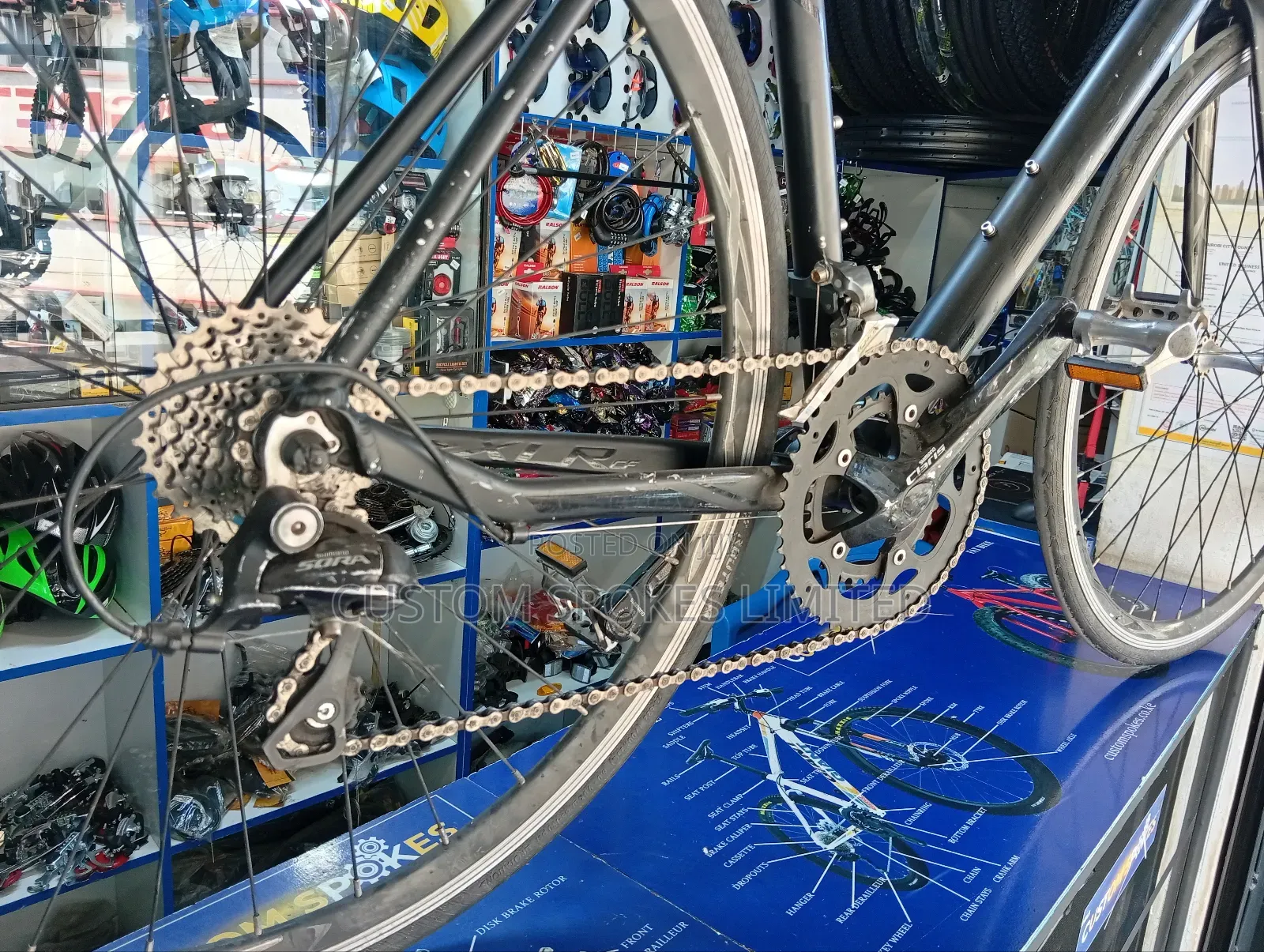 Cello Shimano Roadbike