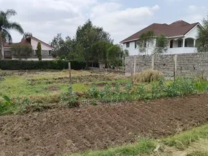 Selling 1/4 Acre in Kahawa Sukari Wundanyi Rd