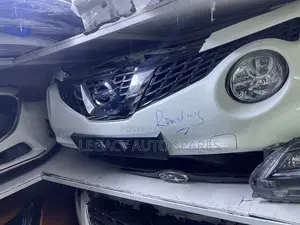 Nissan Juke 2017 Nosecut