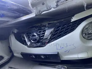 Nissan Juke 2017 Nosecut