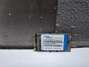 Golden M.2 Sata 2242 SSD 1tb, Pcie Gen3x4 Nvme SSD