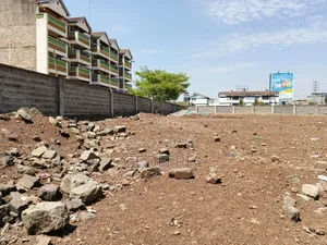 Leasing 1and 1/2 Acre in Kasarani Roysambu