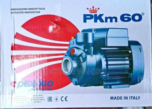 Original Pedrollo Water Pump 0.5hp/ Pedrollo Pkm60 New Booster Pump