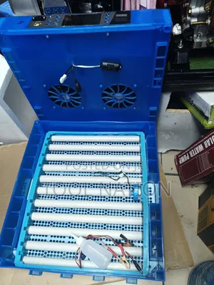 Automatic Egg Incubator/64 Egg Incubator 