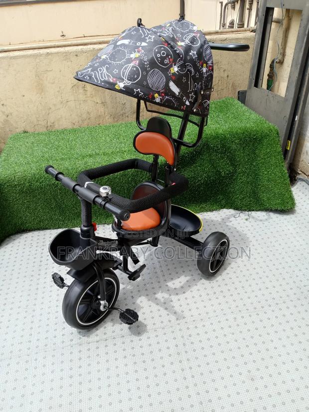 Little. Fun. Tricycle With Canopy - main view