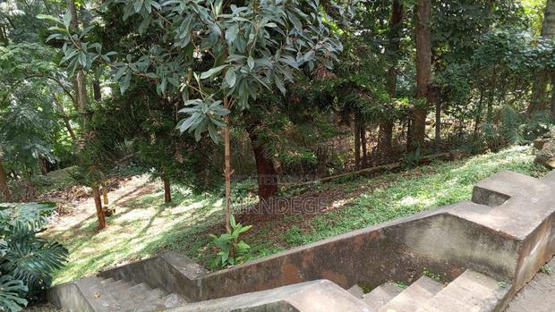 7bdrm House in Kyuna for sale - thumbnail 3