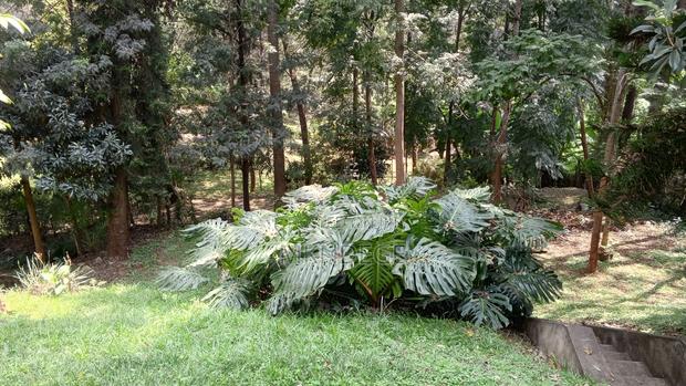 7bdrm House in Kyuna for sale - thumbnail 5