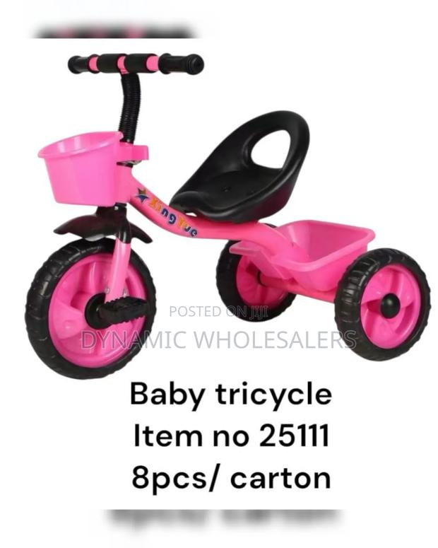 Baby Tricycle - main view