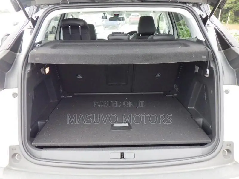 Peugeot 3008 2020 Pearl