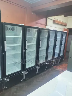 Commercial Chiller( as Good as New) Perfect Performance