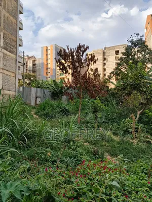 Selling 35x70 Acre Plot in Kasarani Ngumba Estate
