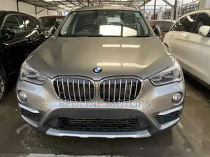 BMW X1 2018 Gray