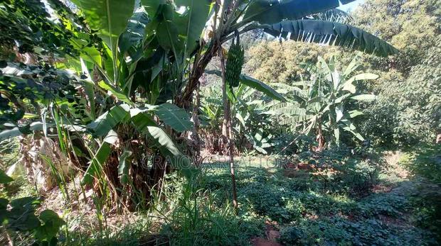 4bdrm House in Loresho for sale - thumbnail 21