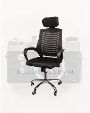 Secretarial Mesh Chair | Orthopedic Scratch-Resistant Finish