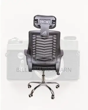 Secretarial Mesh Chair | Orthopedic Scratch-Resistant Finish