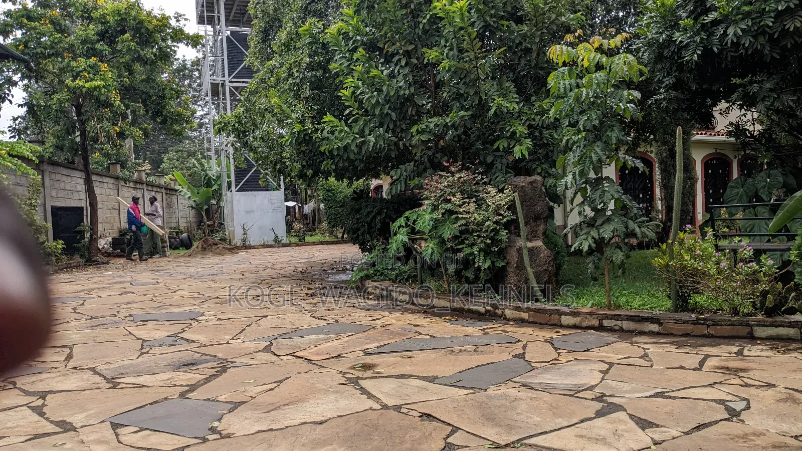1bdrm Bedsitter in Thome for rent