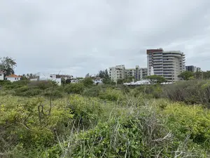 1 Acre Rectangle Seafront Property for Sale in Nyali