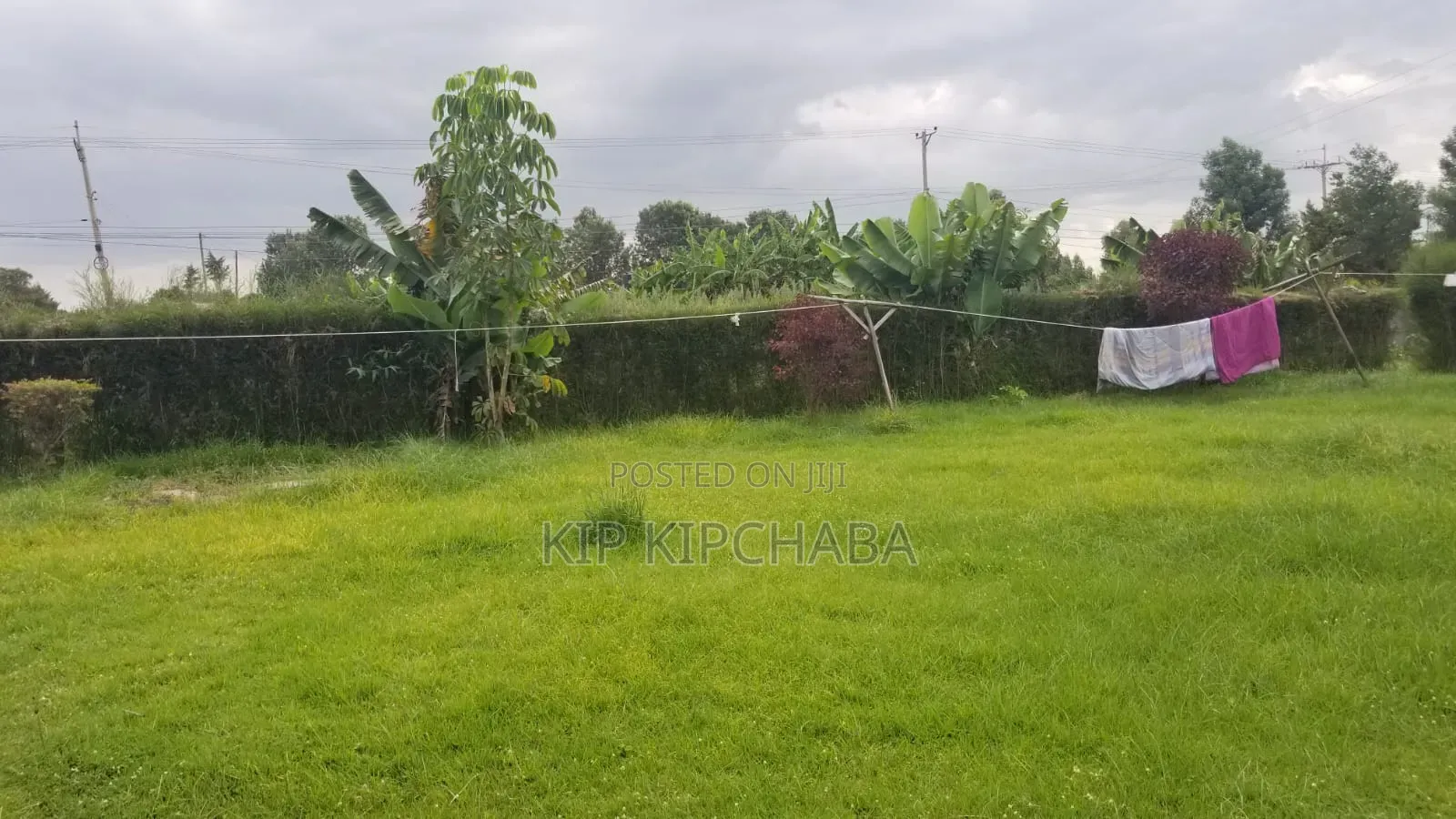 4bdrm Bungalow in Blossom, Elgon View for sale