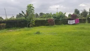 4bdrm Bungalow in Blossom, Elgon View for sale