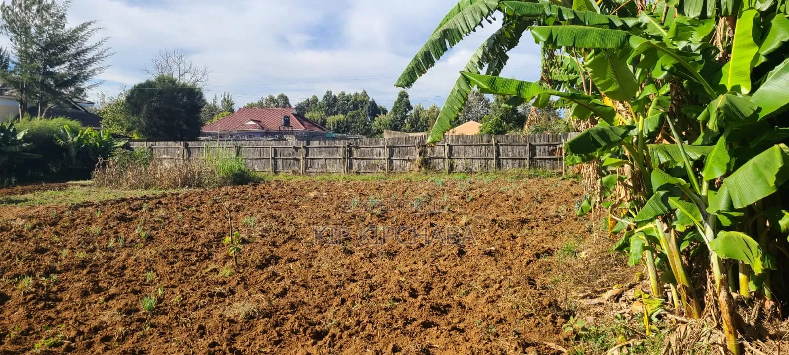 4bdrm Bungalow in Blossom, Elgon View for sale