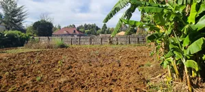 4bdrm Bungalow in Blossom, Elgon View for sale