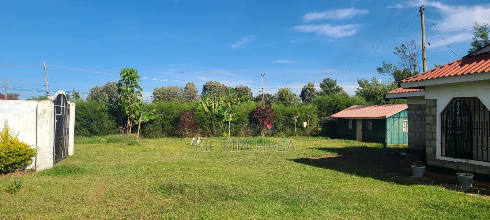 4bdrm Bungalow in Blossom, Elgon View for sale
