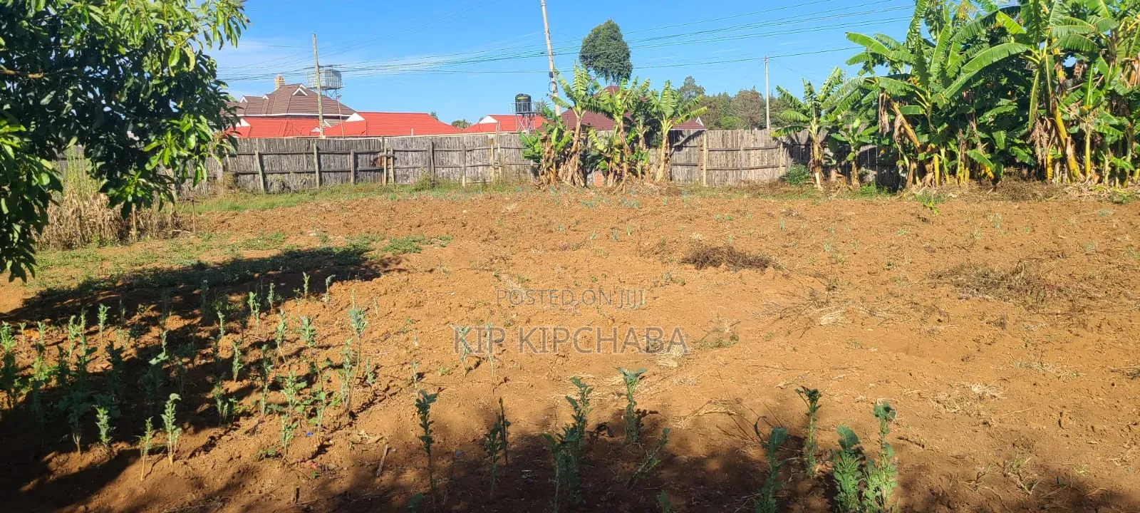 4bdrm Bungalow in Blossom, Elgon View for sale
