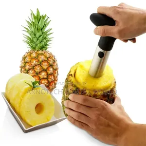 Pineapple Spiral Cutter